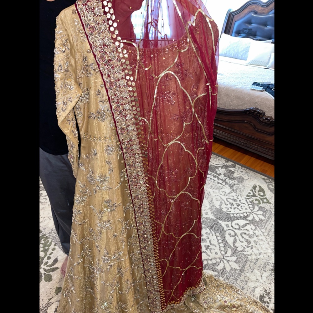 Pakistani/Indian Wedding Dress - Picture 13 of 15